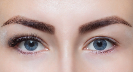 La Teinture des Cils & des Sourcils